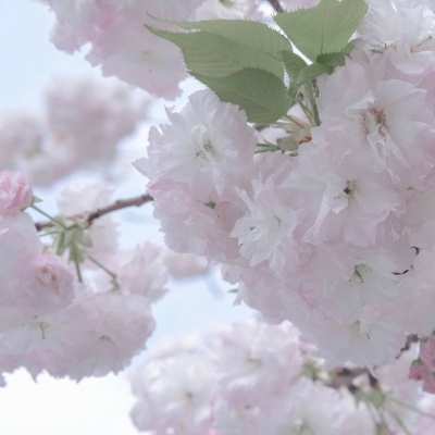 Furry绘画避坑指南兽圈社群